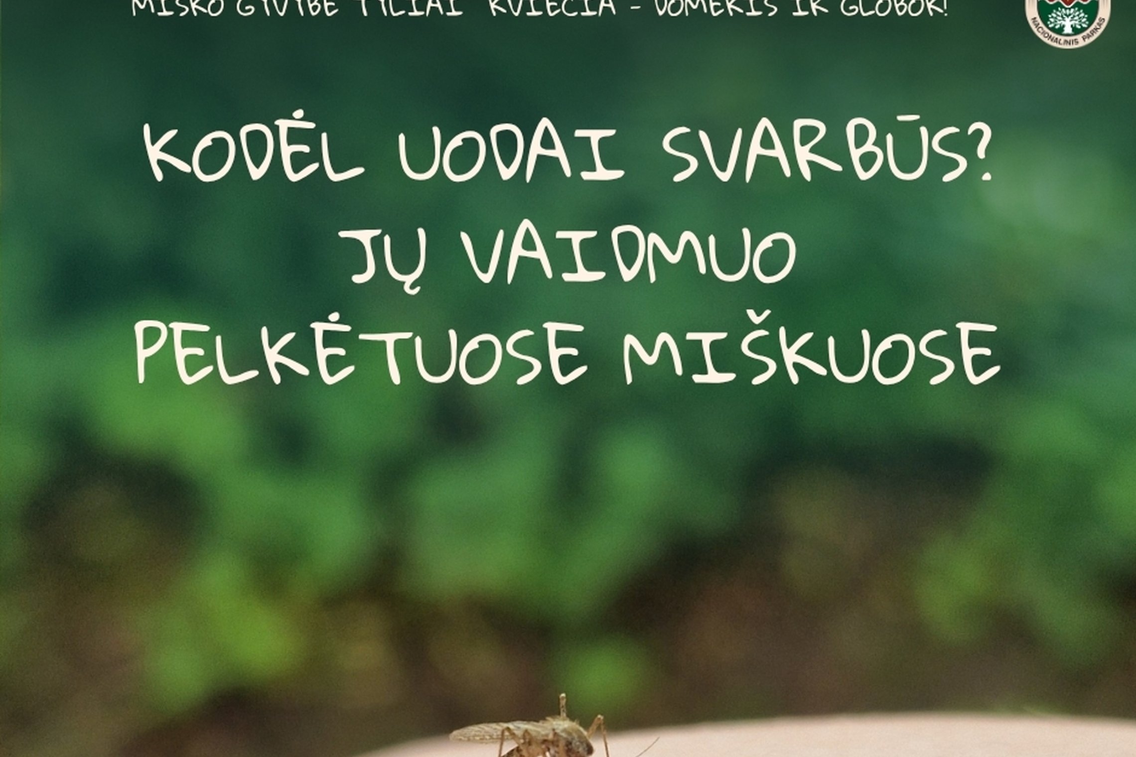 Iliustracija