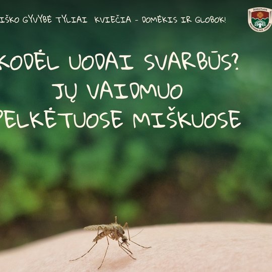 Iliustracija