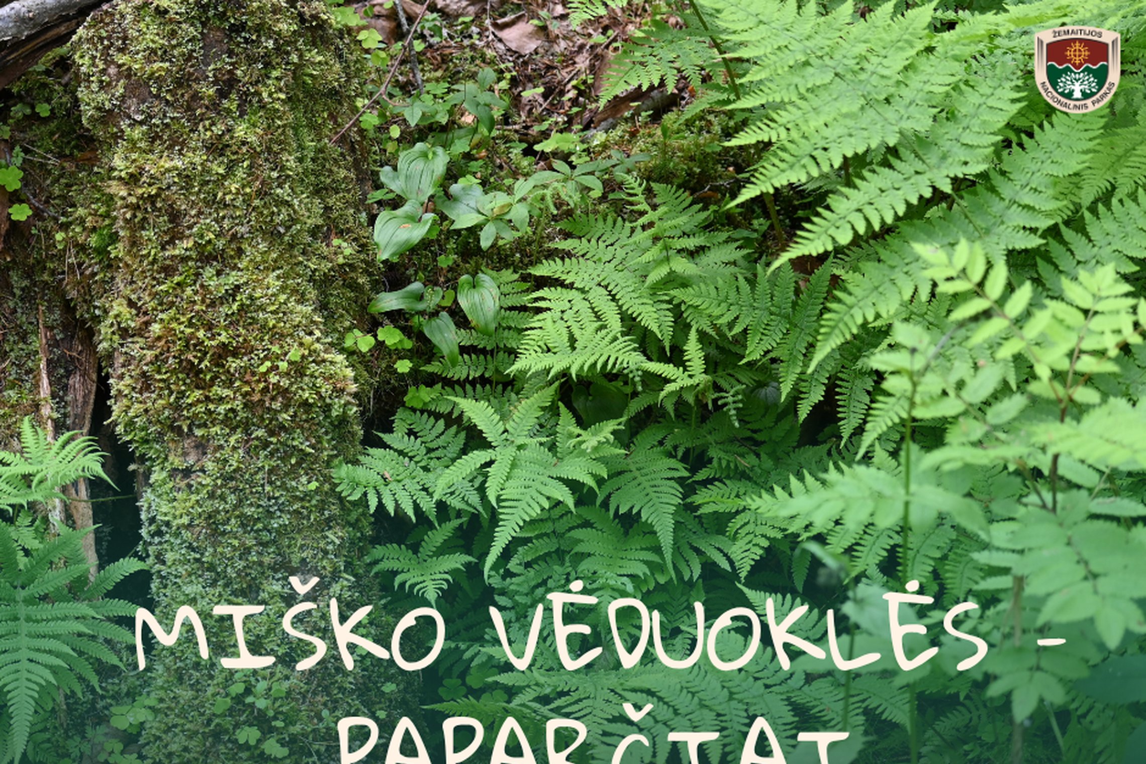 Iliustracija