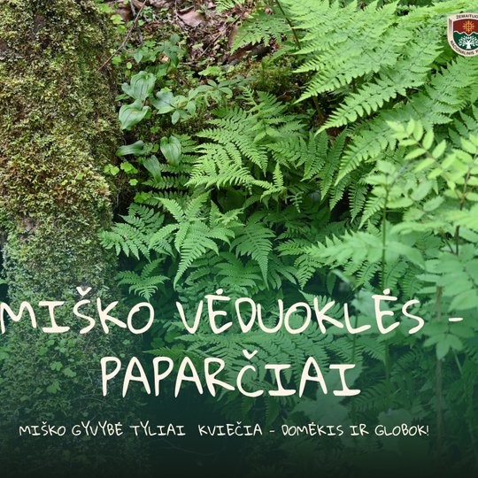 Iliustracija