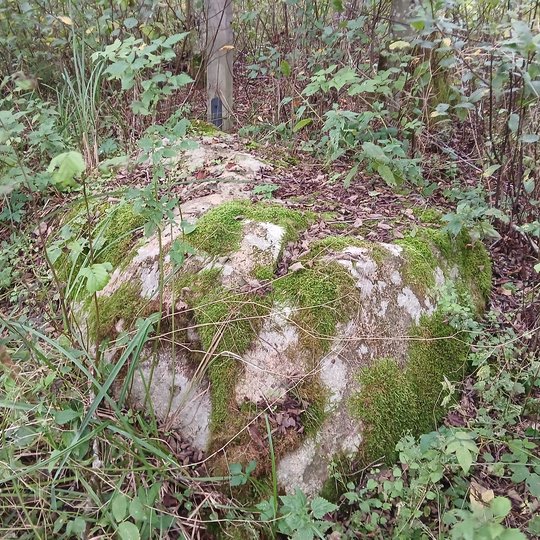 Iliustracija