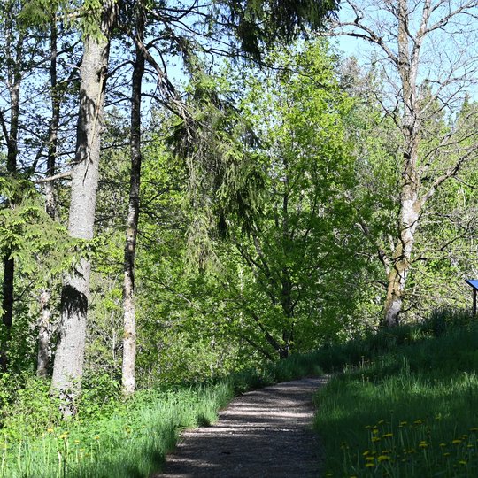 Iliustracija