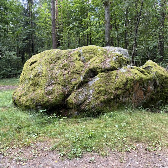 Iliustracija