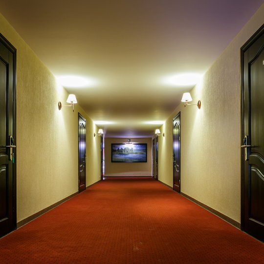 Viešbutis "Linelis"