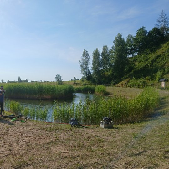 Iliustracija
