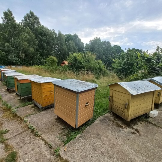 Iliustracija