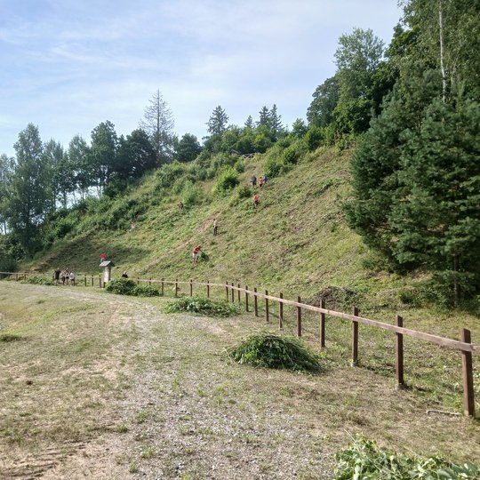 Iliustracija