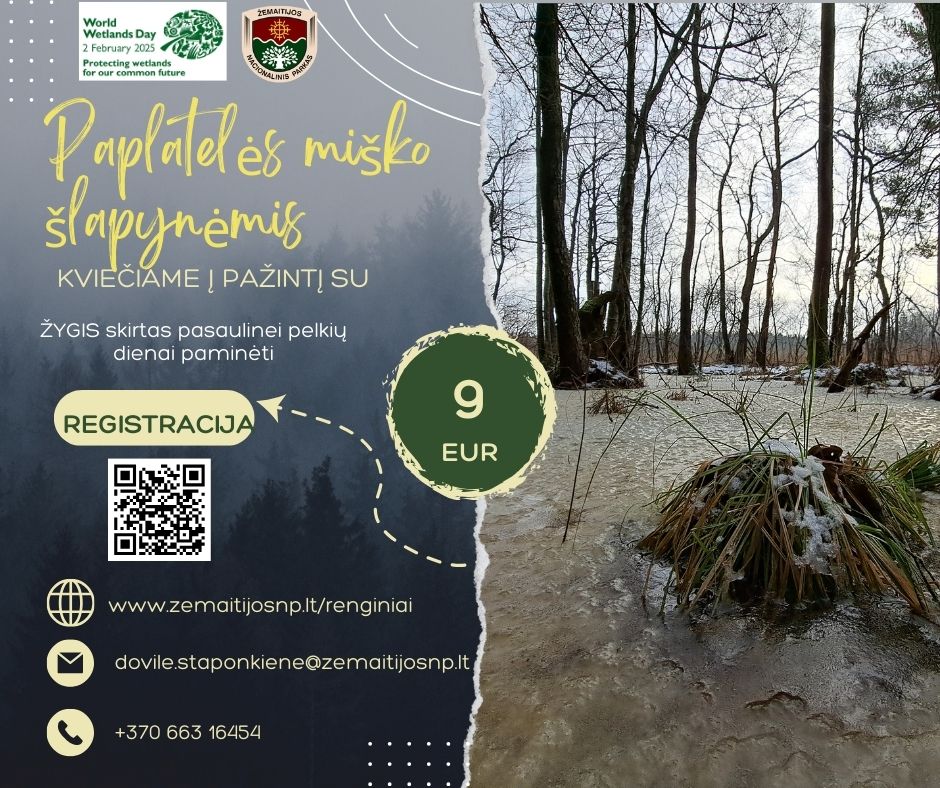 renginio iliustracinė nuotrauka